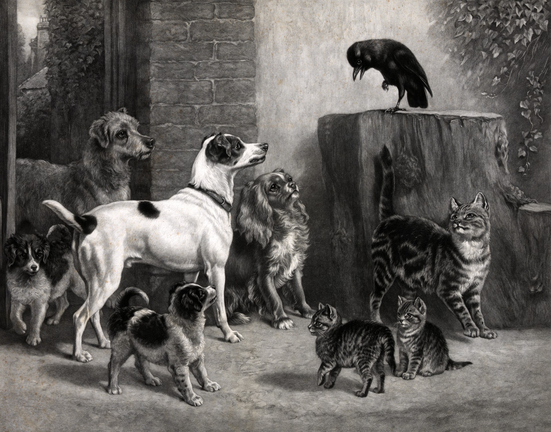Quelle: https://www.publicdomainpictures.net/en/view-image.php?image=77019&picture=dogs-amp-cats